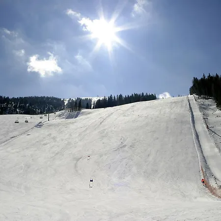 Ξενοδοχείο Berghof 4*